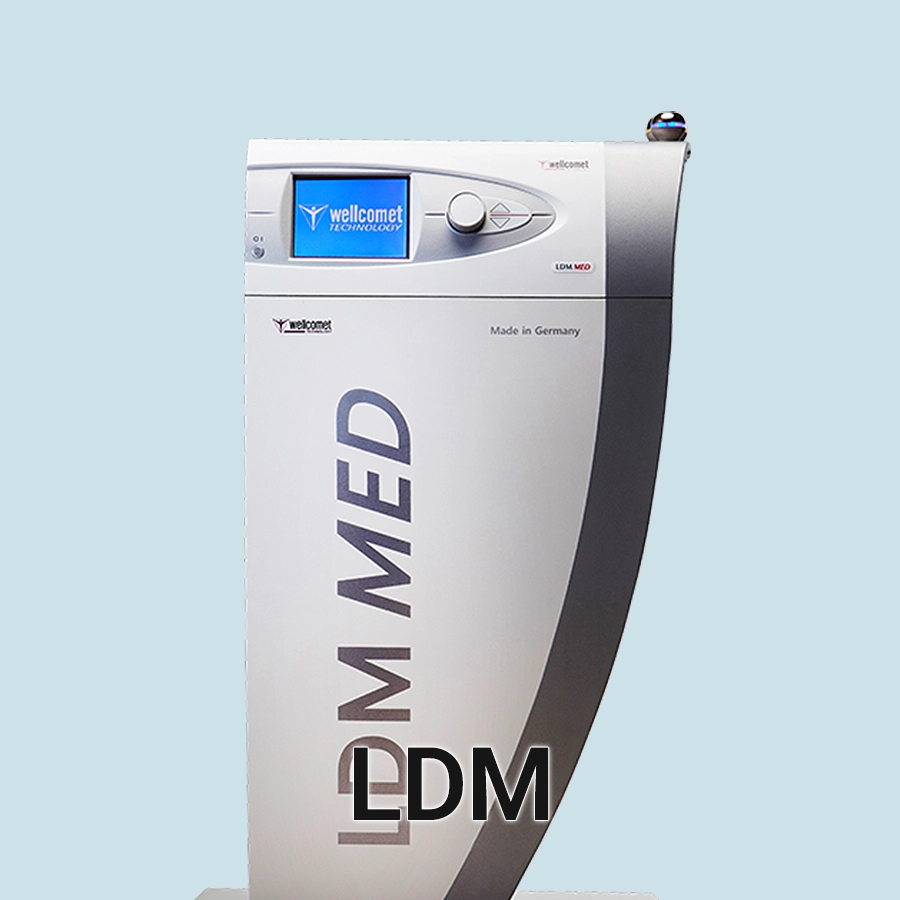LDM